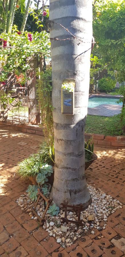 Africas Eden Guesthouse Mookgophong Esterno foto